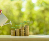 Ahorro sostenible para largo plazo